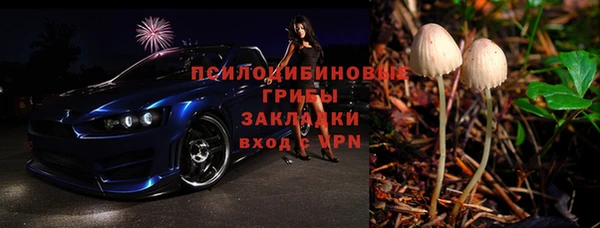 Альфа ПВП Пересвет