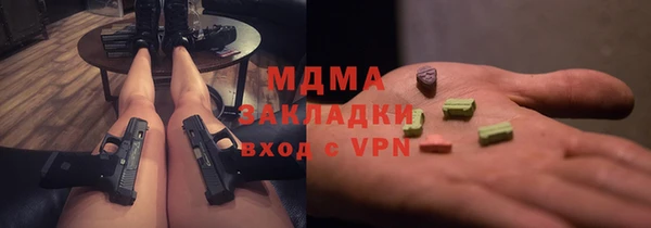 спиды Болотное