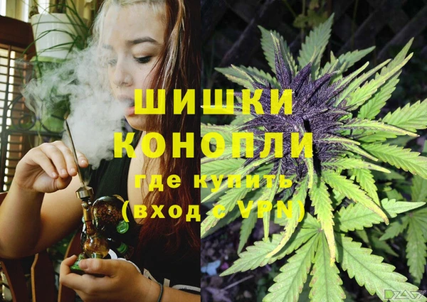 Альфа ПВП Пересвет