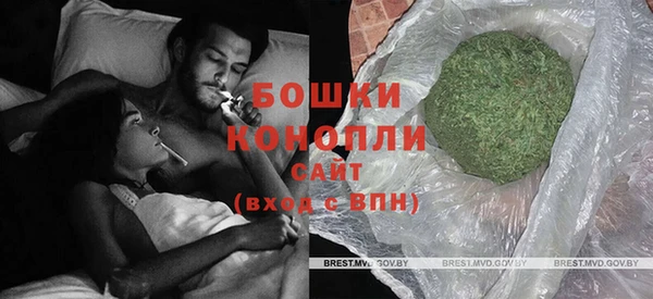 Альфа ПВП Пересвет