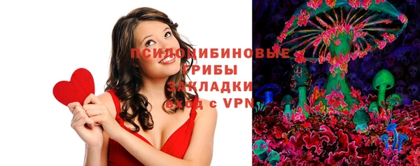 spice Пестово