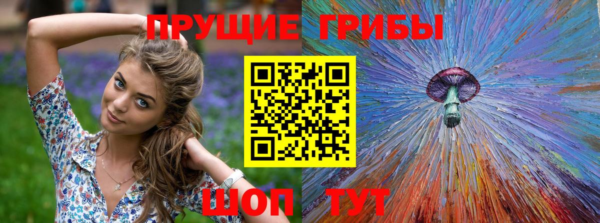 Галлюциногенные грибы Magic Shrooms Ставрополь