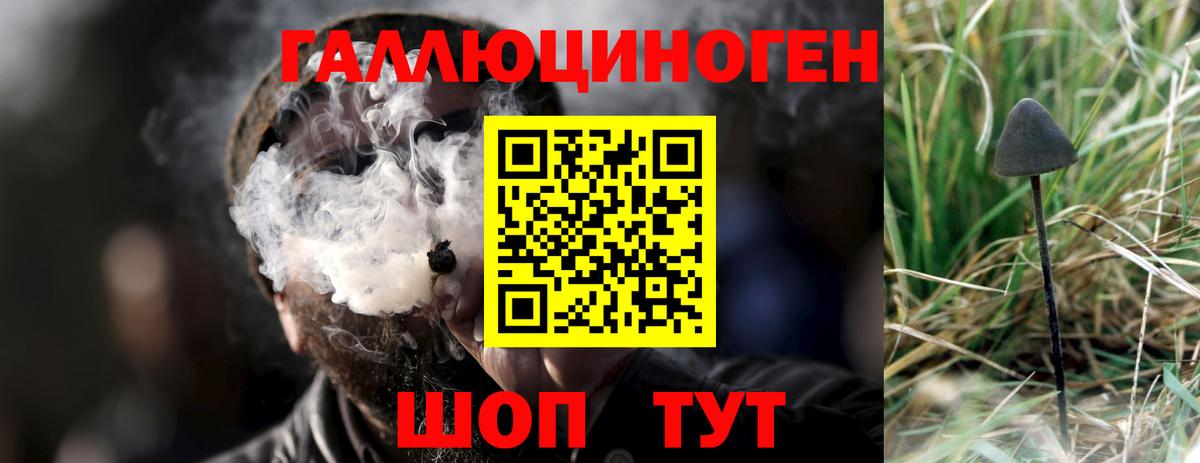 Галлюциногенные грибы Cubensis Ставрополь