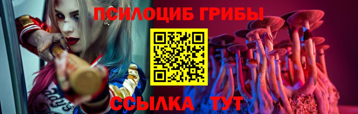 Галлюциногенные грибы MAGIC MUSHROOMS  Ставрополь  Галлюциногенные грибы прущие грибы 