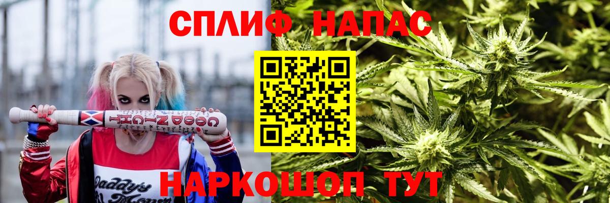 Бошки марихуана конопля  Шишки марихуана план  Каннабис индика  Ставрополь 